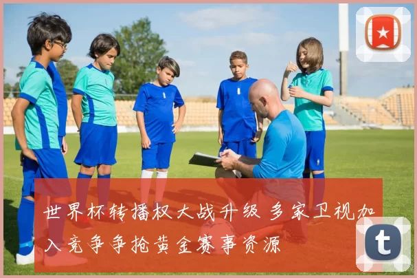 世界杯转播权大战升级 多家卫视加入竞争争抢黄金赛事资源