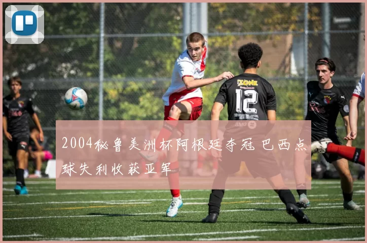 2004秘鲁美洲杯阿根廷夺冠 巴西点球失利收获亚军