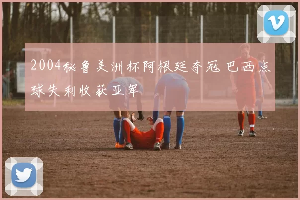2004秘鲁美洲杯阿根廷夺冠 巴西点球失利收获亚军