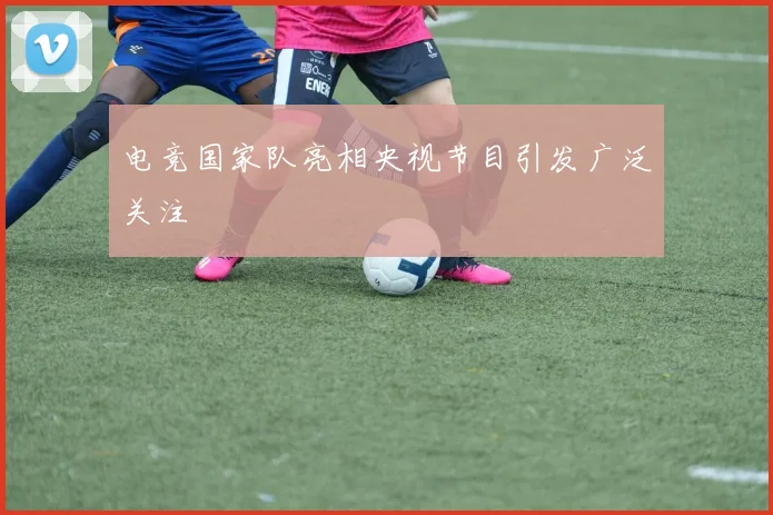 电竞国家队亮相央视节目引发广泛关注