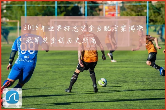 2018年世界杯总奖金分配方案揭晓 冠军奖金创历史新高
